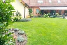 Realizace zahrad - Zahrada plná hortenzií
