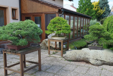 Realizace zahrad - Zahrada v japonském stylu