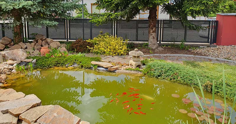 Zahradní jezírko - Zahradnictví Monet Vrdy